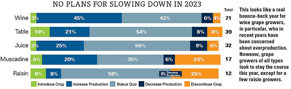 AFG_2023_SOI_grape_production_plans_chartjpg.jpg