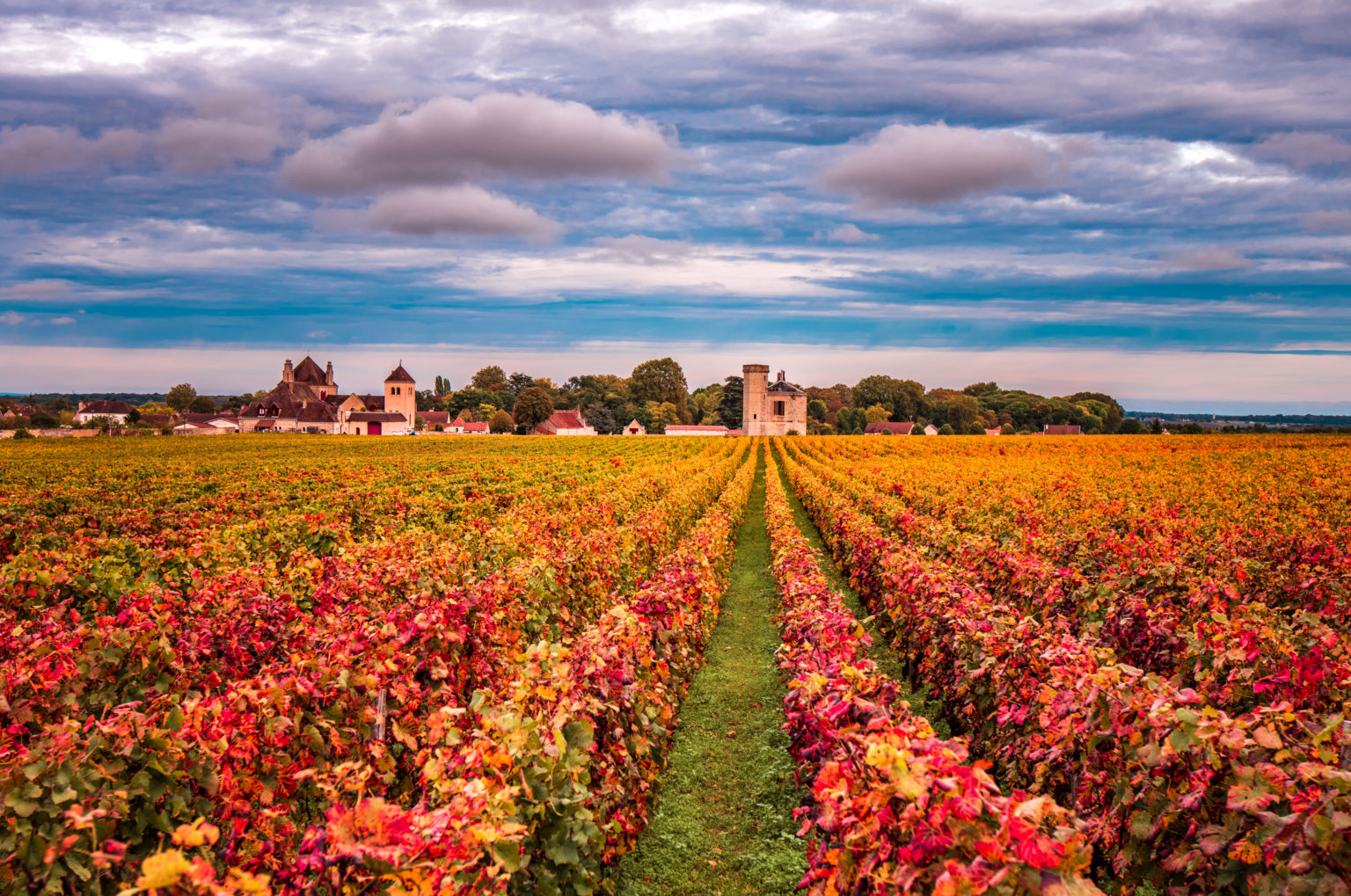 ‘Fabulous’ Burgundy ’22 年份酒在期酒开始时给商家留下了深刻的印象