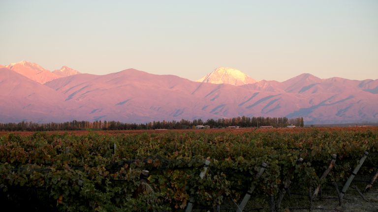 阿根廷 Uco 山谷的 Domaine Bousquet 葡萄园