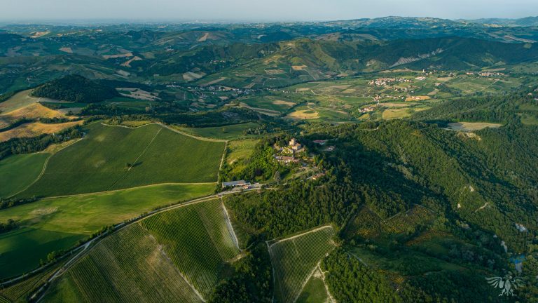 Castello di Stefanago 的葡萄园位于 Oltrepò Pavese 通风良好的山丘上